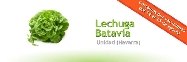 Lechuga Batavia, la unidad (Navarra)