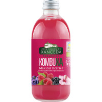 Kombucha Frutos Rojos 250...